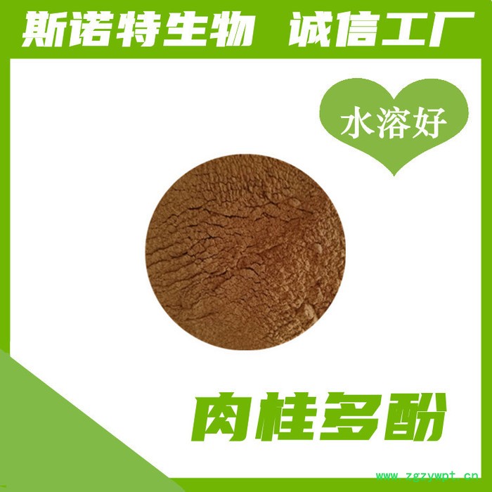 锁阳生物碱98% 锁阳提取物 锁阳浓缩粉图7