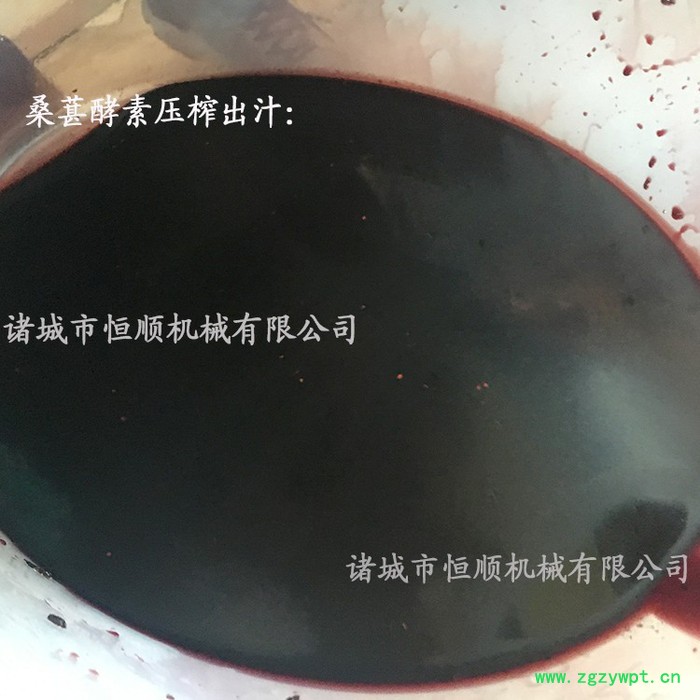 酒坊酿酒用苹果酒酒液压榨机 果蔬泡酒、中药材泡酒藏红花压榨机图7