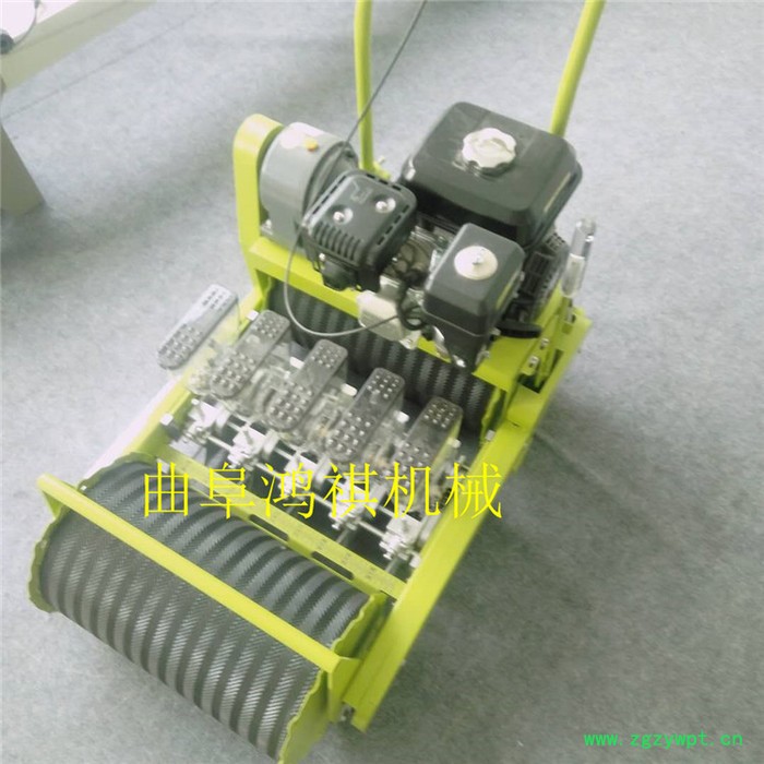 白菜播种机 蔬菜播种机价格 大棚蔬菜播种机 药材播种机图4