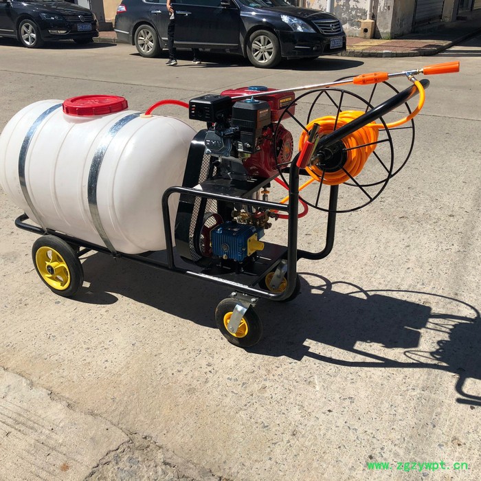 药材杀虫打药机 冬季封地小型打药机 手推300升打药机图3