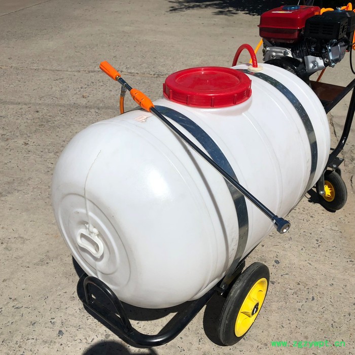 药材杀虫打药机 冬季封地小型打药机 手推300升打药机图7