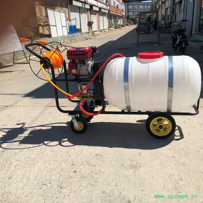 药材杀虫打药机 冬季封地小型打药机 手推300升打药机图6
