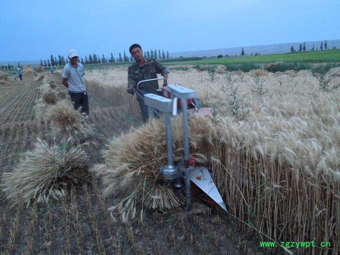 高粱玉米收割机 稻麦专用收割打捆机 药材苜蓿蛇床子割晒机图3