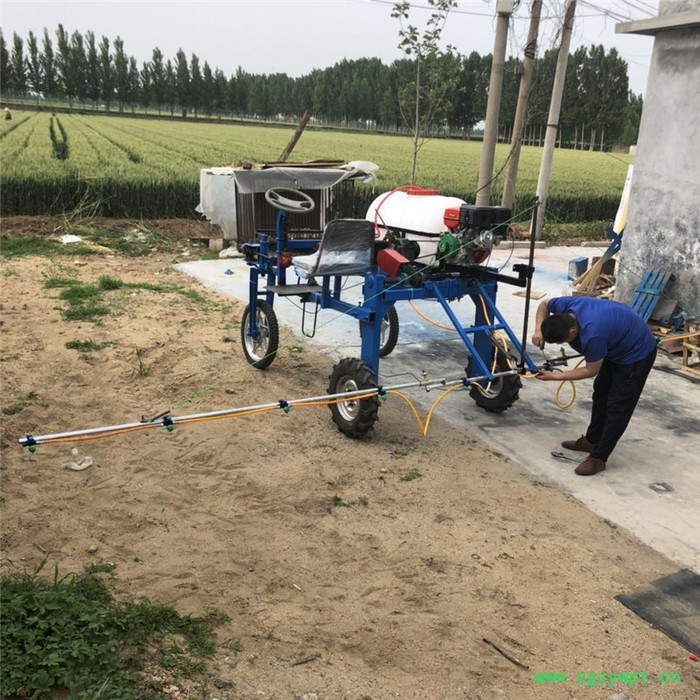 慧聪机械 杠杆式四轮打药机-药材类除虫用打药机-镇江拉管打药车图4