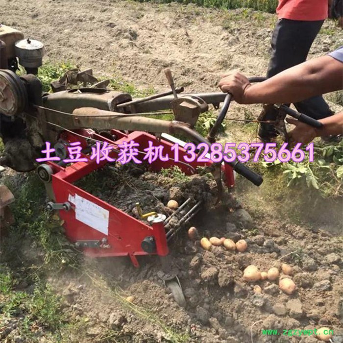 丹参收获机** 中药材收割机 根茎类作物收获机图4