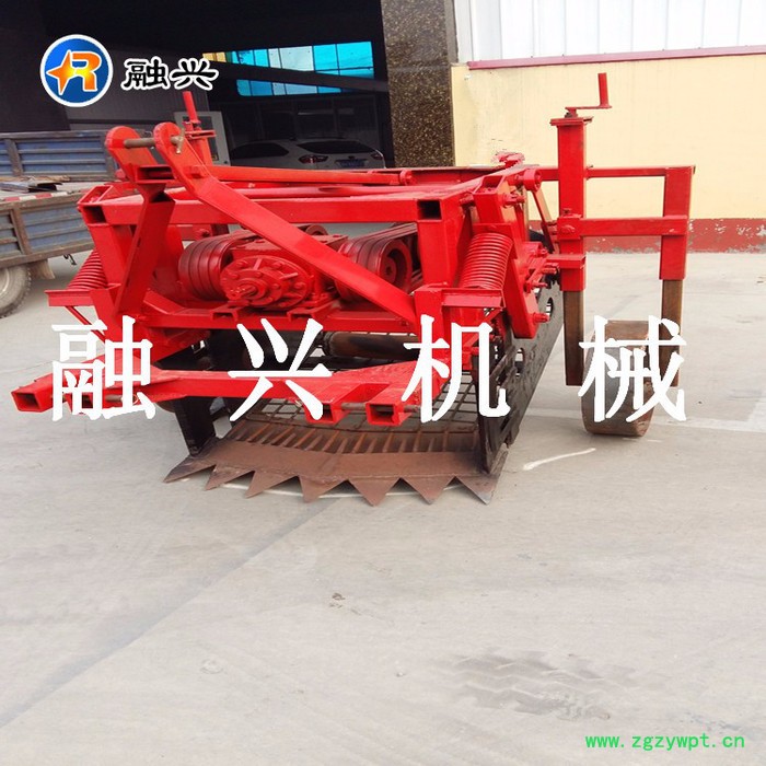 融兴 丹参收获机****药材收获机RX-80图7