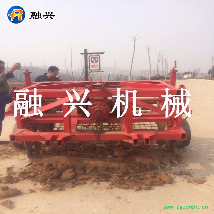 融兴 丹参收获机****药材收获机RX-80图3