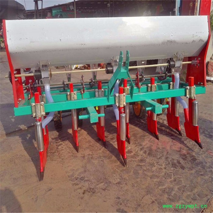 菜心精量播种机 高粱谷子蔬菜药材多功能播种机点播机 玉米点播机图7