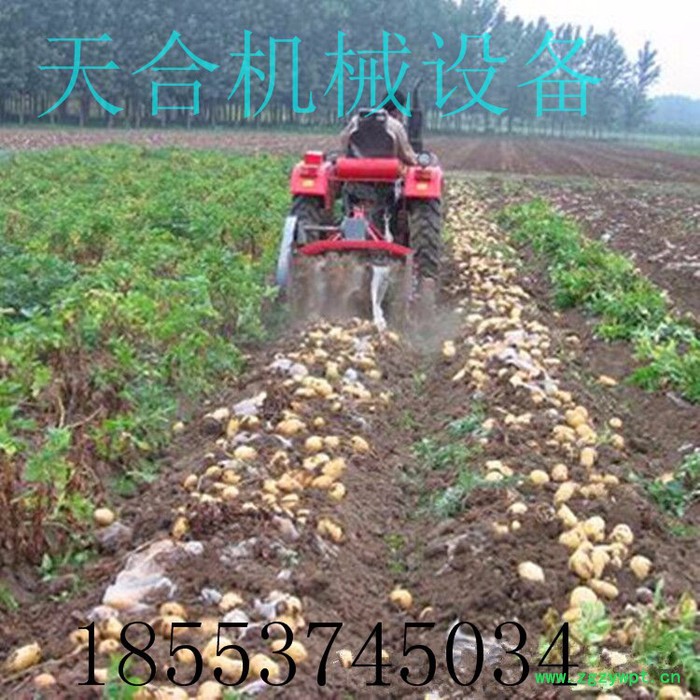 花生收获机 药材收获机根茎收获机  大蒜收获机  安全便捷  **图4