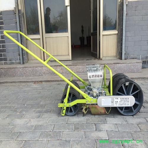 大型花卉药材点播机 汽油式谷子精播机 手推式小颗粒播种机 鸿祺机械图3