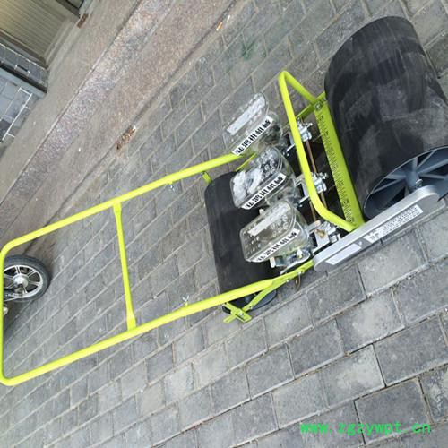 大型花卉药材点播机 汽油式谷子精播机 手推式小颗粒播种机 鸿祺机械图4