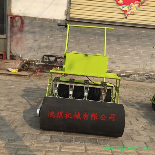 大型花卉药材点播机 汽油式谷子精播机 手推式小颗粒播种机 鸿祺机械图2