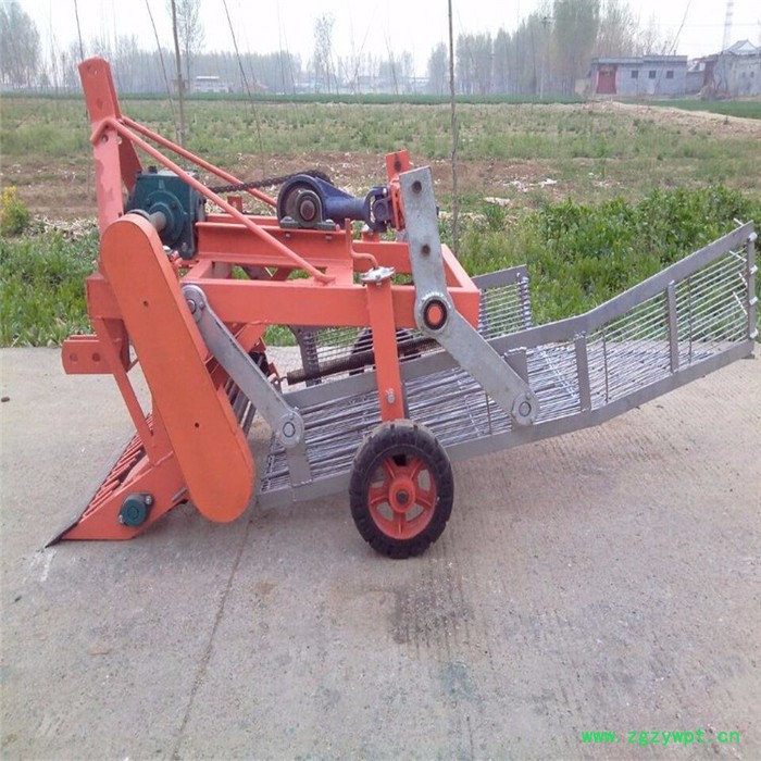 全自动中药材收获机花生收获机红薯收获机图5