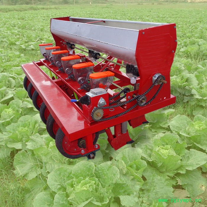 谷子蔬菜药材精播机厂家 可调株距播种机 免间苗小颗粒播种机价格图7