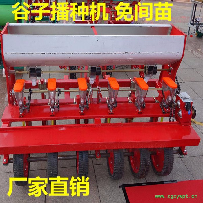 谷子蔬菜药材精播机厂家 可调株距播种机 免间苗小颗粒播种机价格图6