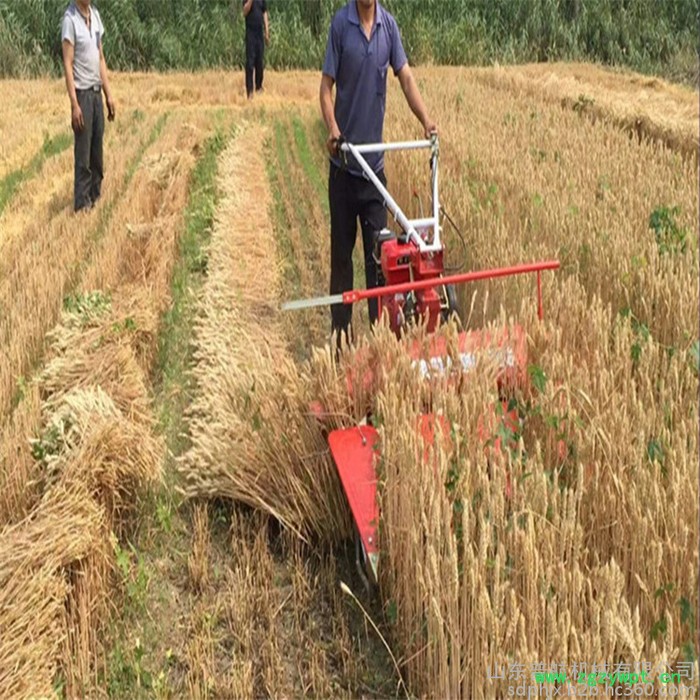 富兴机械生产手扶式牧草割晒机 一边倒药材收割机 汽油苜蓿草割晒机厂家图6