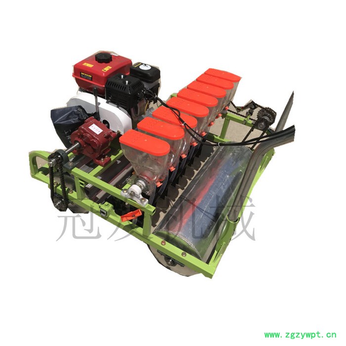 菜籽谷物药材精量播种机 人力胡萝卜播种机 谷子精播机图2