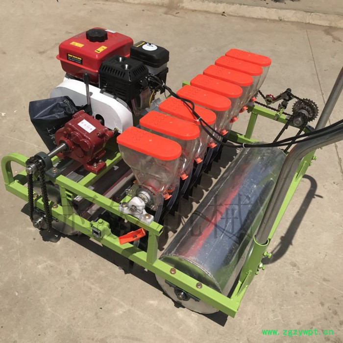 菜籽谷物药材精量播种机 人力胡萝卜播种机 谷子精播机图4