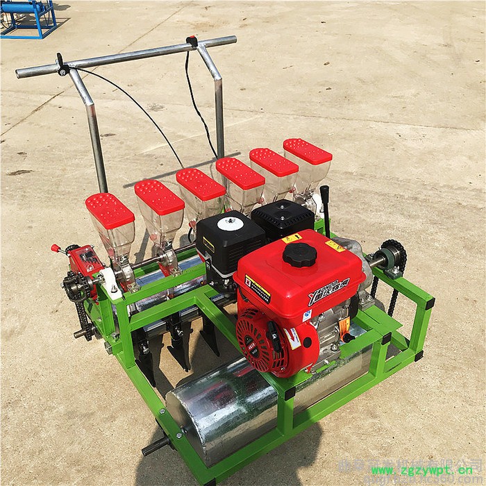 吉林长春 蔬菜播种机白菜播种机 谷物药材播种机 批发图2