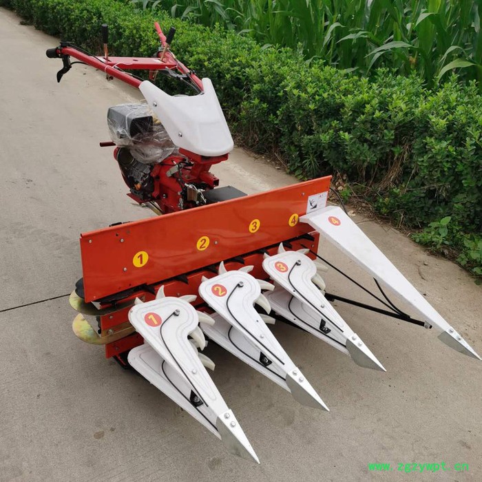 佳硕中药材割晒机 柳条桑条割晒机 牧草大豆甜叶菊收割机图6