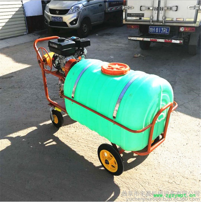 南方热带水果喷药弥雾机 汉口柑橘树杀虫打药机 水稻药材喷洒农药机价格图5