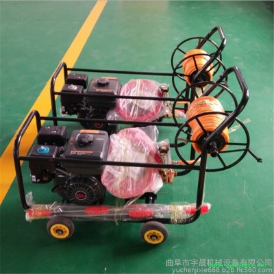 南方热带水果喷药弥雾机 汉口柑橘树杀虫打药机 水稻药材喷洒农药机价格