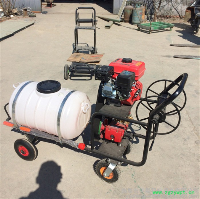 南方热带水果喷药弥雾机 汉口柑橘树杀虫打药机 水稻药材喷洒农药机价格图2