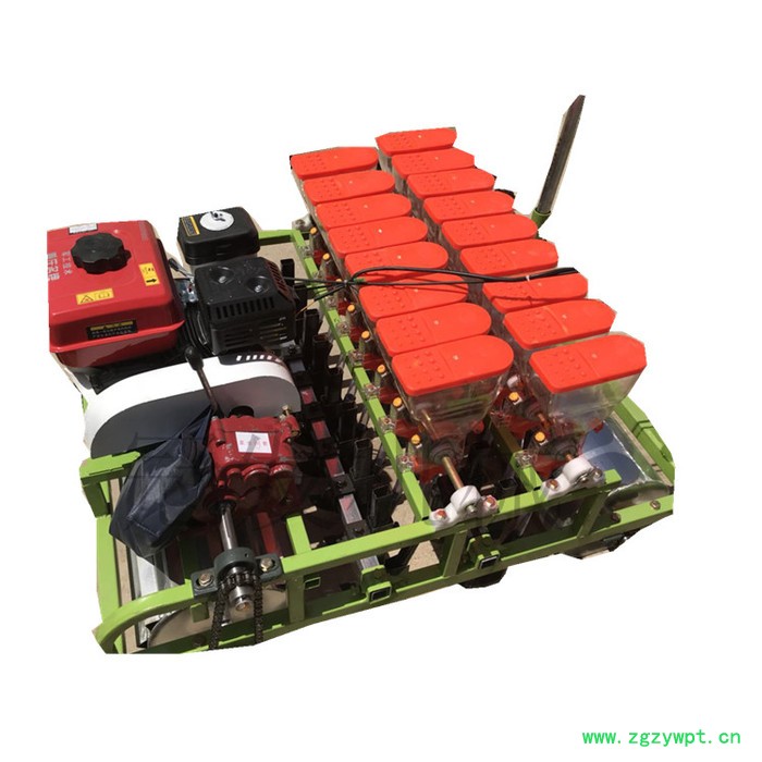 中药材播种机 冠发草种子精播机 蔬菜种子精播机图2