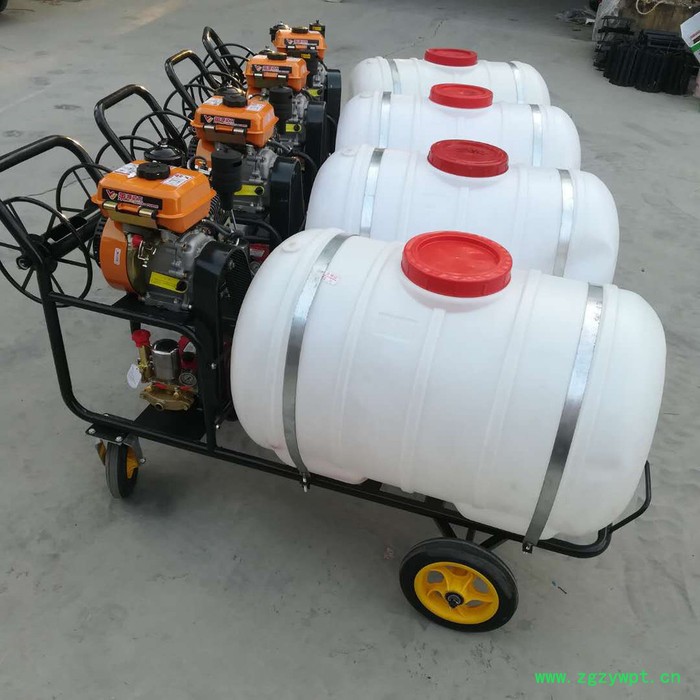 蔬菜地灭虫打药机 高压喷雾器 药材喷药机图7
