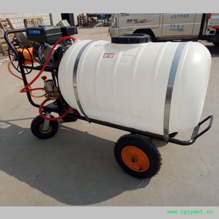 蔬菜地灭虫打药机 高压喷雾器 药材喷药机图6