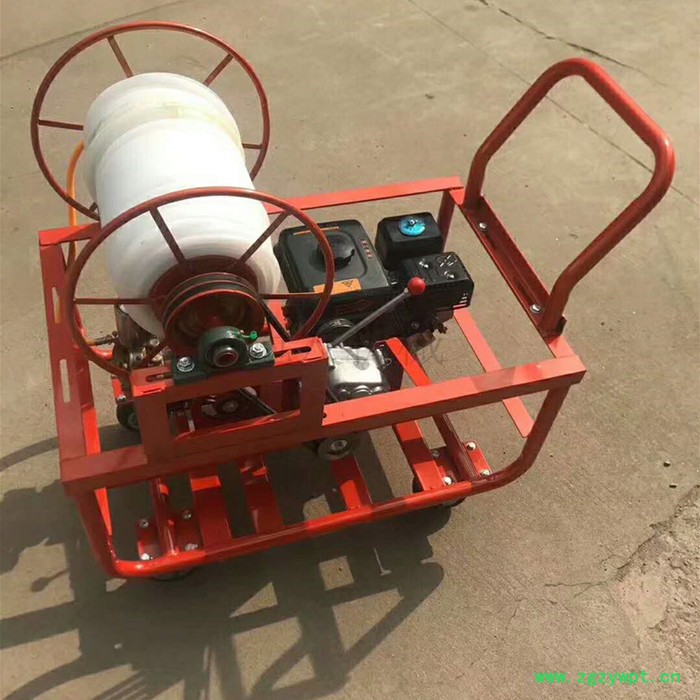 水稻药材喷洒农药机 四冲程汽油手推式喷雾器 双管水冷烟雾机图片图4