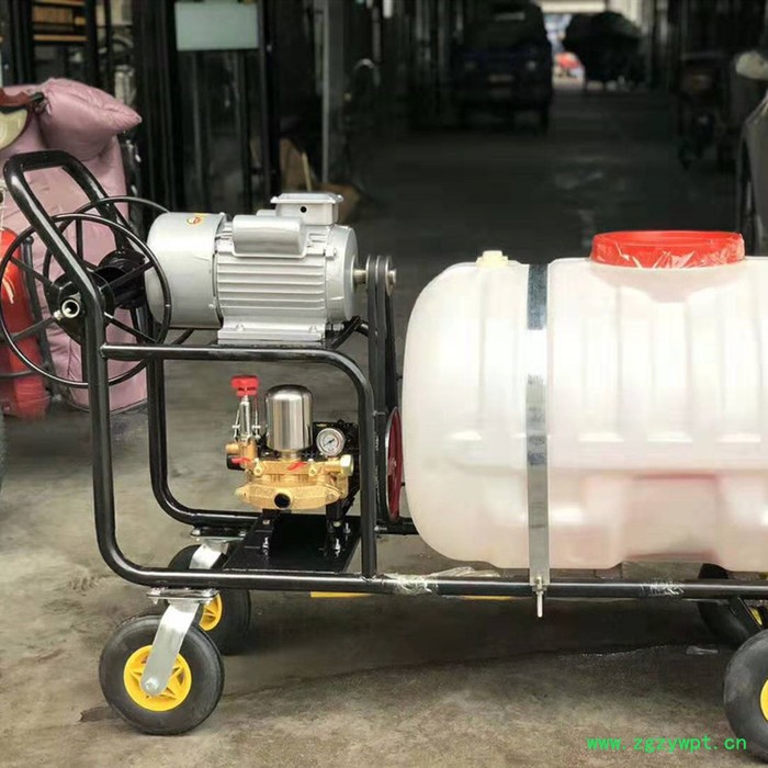 水稻药材喷洒农药机 四冲程汽油手推式喷雾器 双管水冷烟雾机图片图5