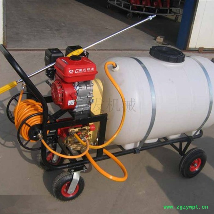 水稻药材喷洒农药机 四冲程汽油手推式喷雾器 双管水冷烟雾机图片图2