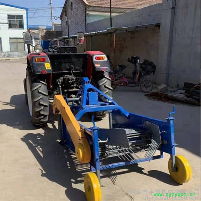 药材收获机 地瓜洋芋土豆收获机 地下根茎薯类出土机图2