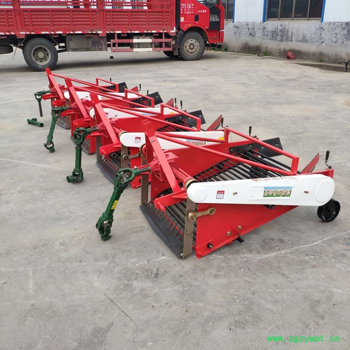 药材收获机 地瓜洋芋土豆收获机 地下根茎薯类出土机图6