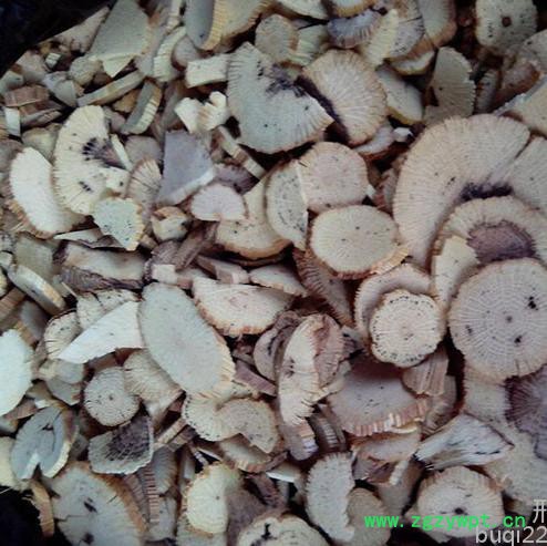 新款多功能药材切段机 中药材切段 切草药机 仿手工药材切断机 药材切片机图7