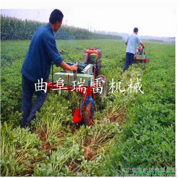 加厚耐用药材收获机瑞雷牌 多种药材收割机项城鱼腥草挖掘机使用说明图5