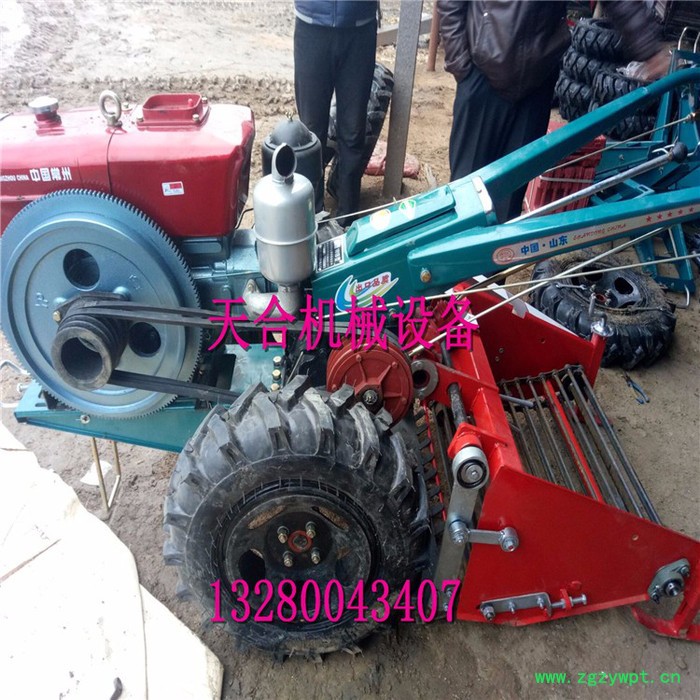 **地下根茎类作物挖掘机 家用无破损药材收割机 大型马铃薯胡萝卜挖掘机图片 可带秧收获机械图2