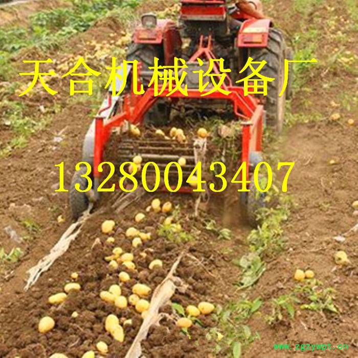 **地下根茎类作物挖掘机 家用无破损药材收割机 大型马铃薯胡萝卜挖掘机图片 可带秧收获机械图3