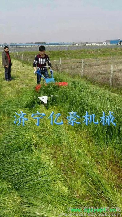 合肥药材割晒机 亿豪多功能小型大马力割晒机 农用收割机农用手推式汽油芦苇收割机图4