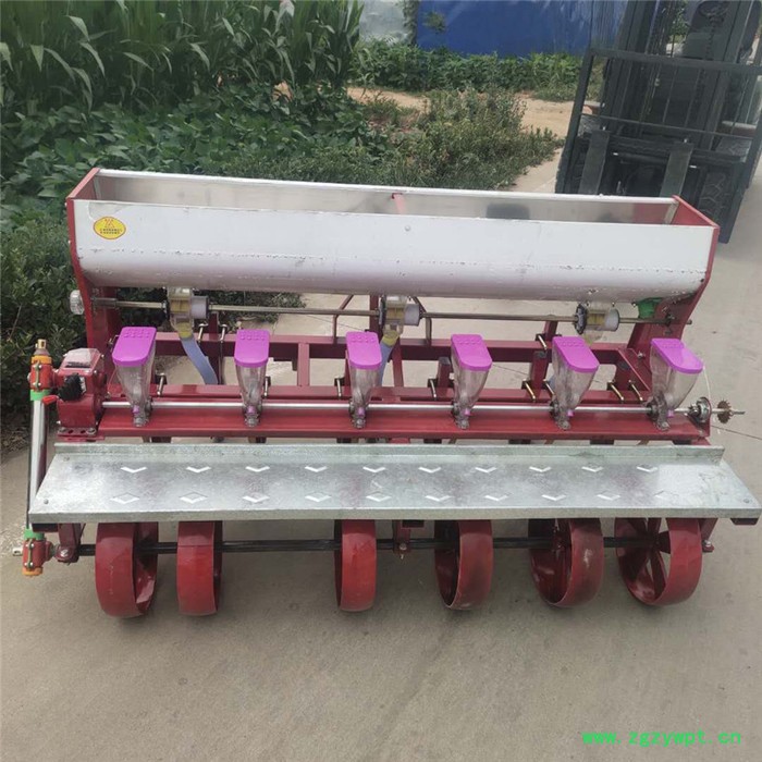 药材菠菜萝卜播种机 **萝卜大白菜精播机 6行小颗粒菜种子播种机富兴图7