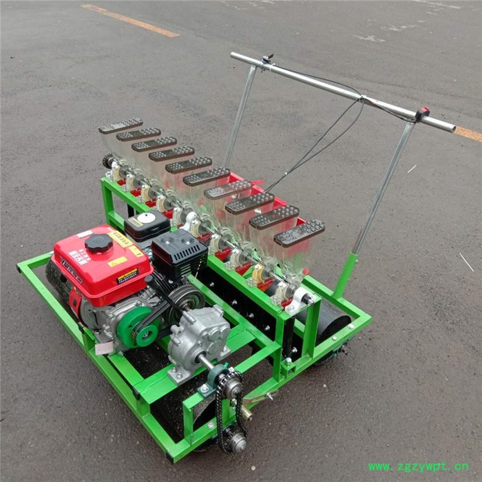 农业人力自走式省力种植机 汽油蔬菜播种机 花卉药材手推精播机图7