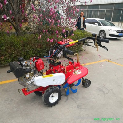 佳鑫手推式精播播种机  花卉精播机   药材播种机操作视频