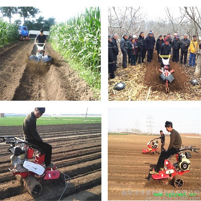 佳鑫手推式精播播种机  花卉精播机   药材播种机操作视频图3