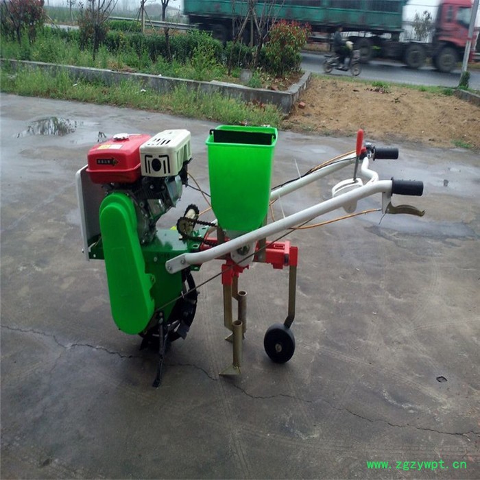 定做半夏药材收获机厂家 汽油机大蒜播种机 电动蔬菜芹菜播种机富兴图2