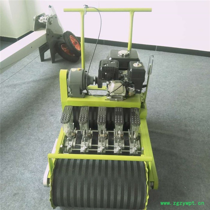 铁西区药材牧草精量施肥播种机厂家销售油菜芹菜播种机图2