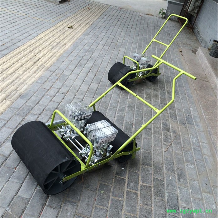 药材草种子播种机 鸿祺蔬菜精播机B 油菜播种机图4