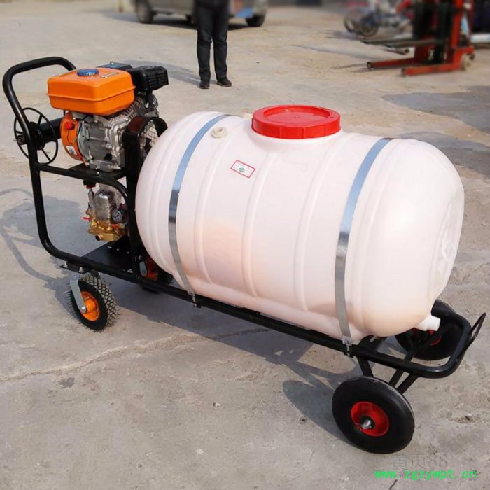 汽油背负式高压水稻施肥机 打药机 手推式打药机喷雾器图4
