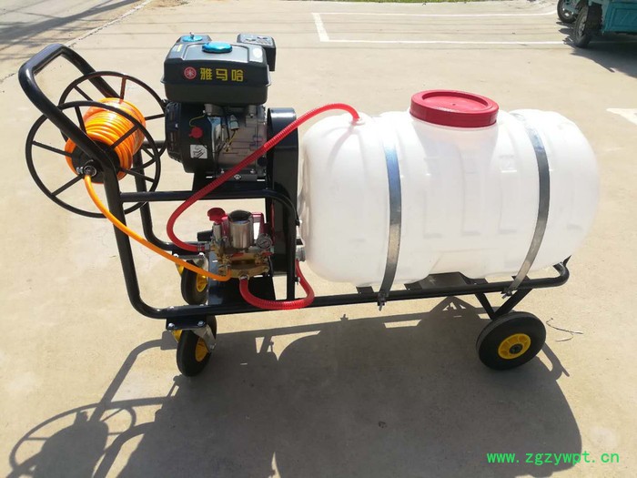汽油背负式高压水稻施肥机 打药机 手推式打药机喷雾器图2