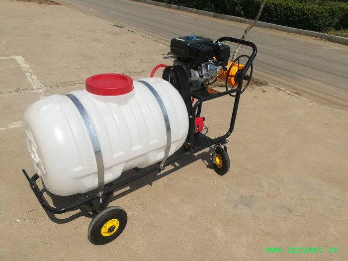 汽油背负式高压水稻施肥机 打药机 手推式打药机喷雾器图7